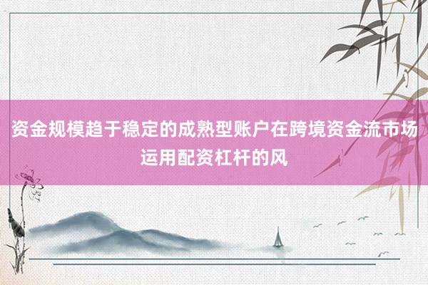 资金规模趋于稳定的成熟型账户在跨境资金流市场运用配资杠杆的风