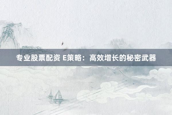 专业股票配资 E策略：高效增长的秘密武器